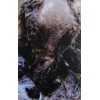 MANIA "Decrepit" tape